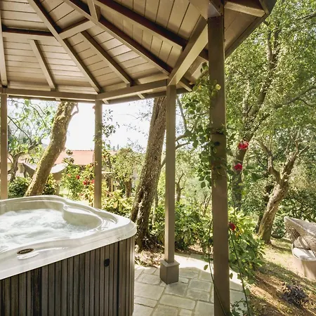 Apartment New Fine House With Newly Built Garden Marina di Pietrasanta